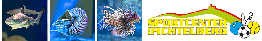 Sportcenter am Fichtelberg Aquarium