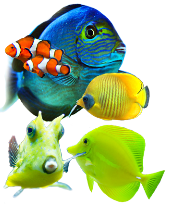 Sportcenter am Fichtelberg